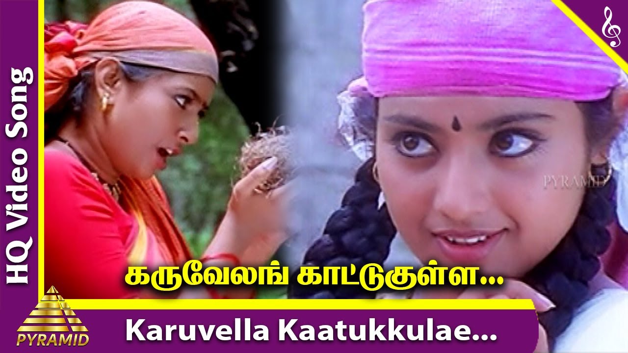 Karuvella Kaatukkulle Video Song  Porkaalam Tamil Movie Songs  Murali  Meena  Deva  Vairamuthu