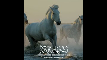 سورة لقمان بصوت القارئ ياسر الدوسري #سورة_لقمان #ياسر_الدوسري #ياسرالدوسري