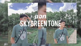 แจกโทนpreset Light room | Skygreen tone | Santitnan
