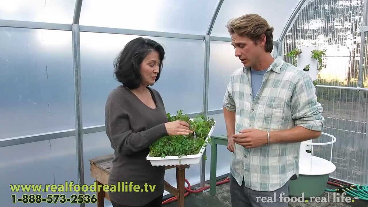 How to Plant Your Tower Garden Seeds real food. real life. YouTube