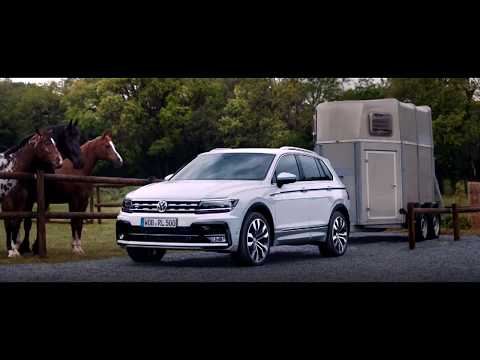 reklama-produktu-z-koŃmi-vw-tiguan-2016