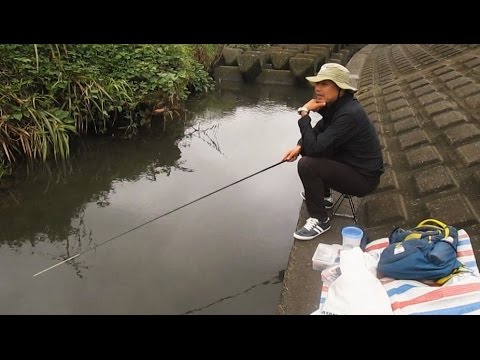 府中用水で釣り Youtube