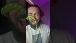 Emerald Tree Boa Wraps Around Guy's Face