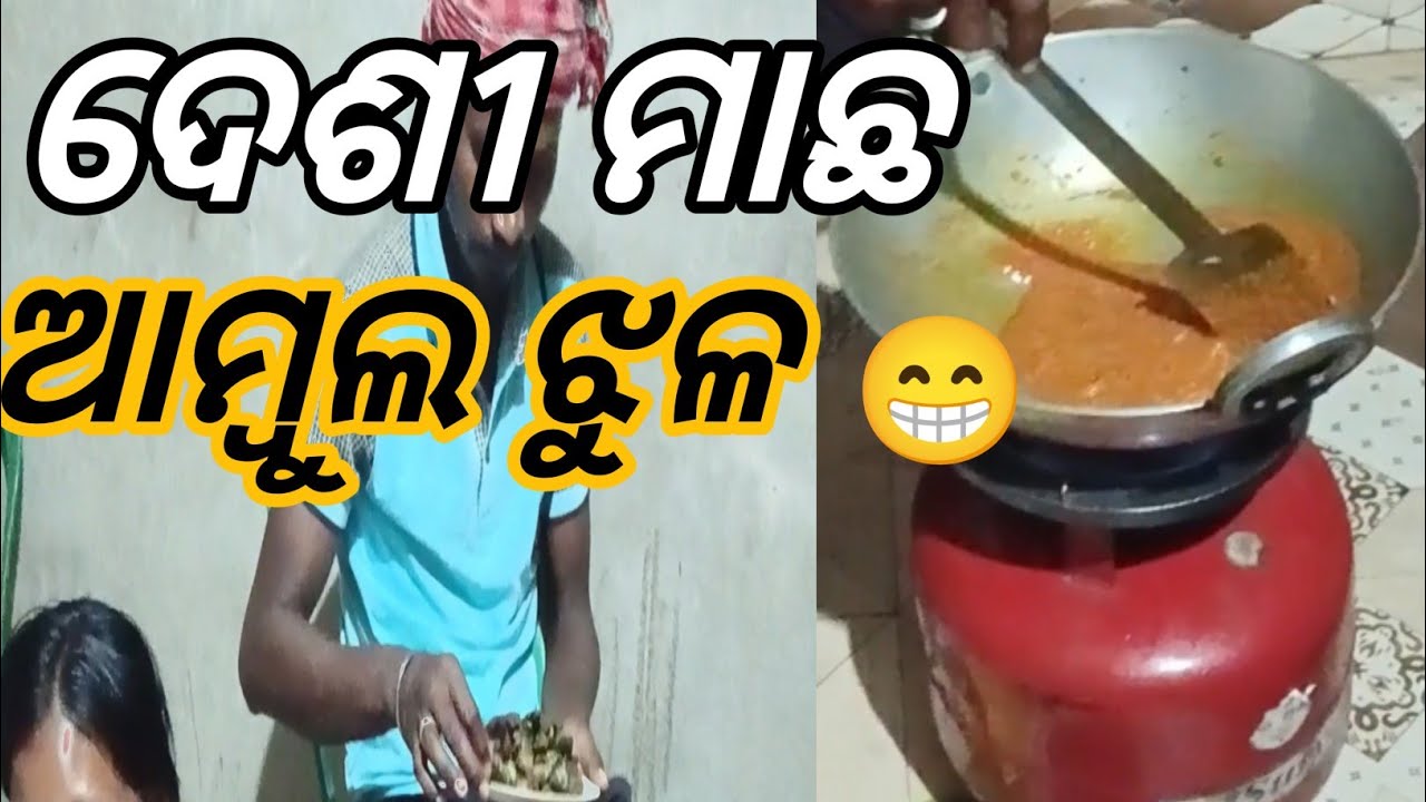 ଦେଶୀ ମାଛ ଆମ୍ବୁଲ ଝୁଳ    17 February 2026