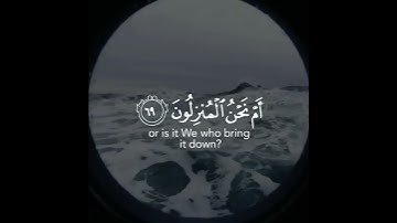 القران الكريم 735