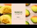 Les MASTERCLASS de Chef Philippe : l'entremets Mangue en Trompe l'Oeil !