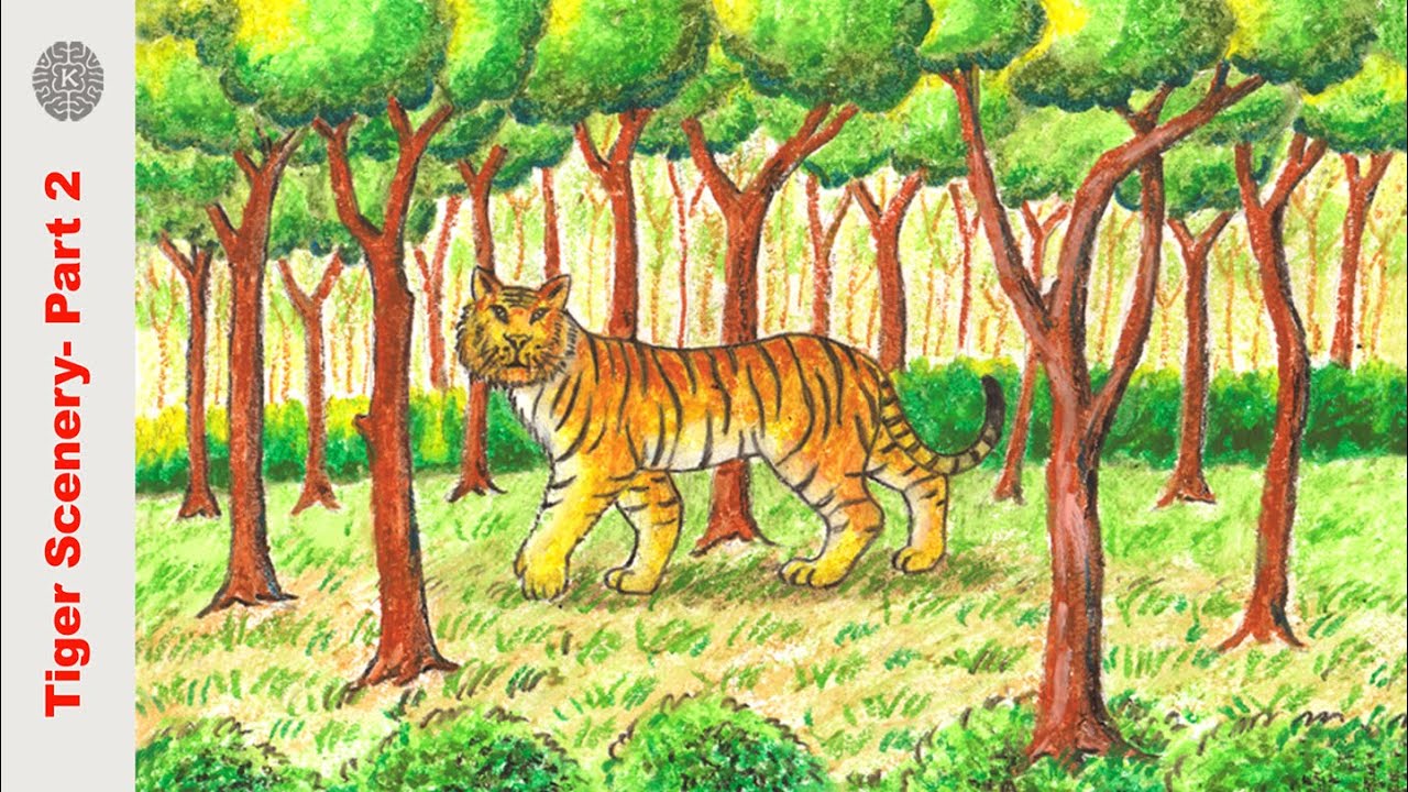 Royal Tigers Transmisja Na Żywo - Tiger Drawing - Free Transparent PNG  Clipart Images Download