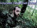 Amynedd: Dingle Dell (Cover)