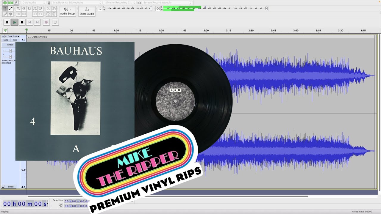 Bauhaus??【全17作レビュー&徹底論考】：蝙蝠に育てられ、偏執に感染 