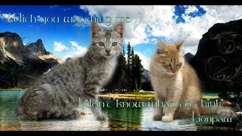 Lionpaw Heatherpaw Tribute