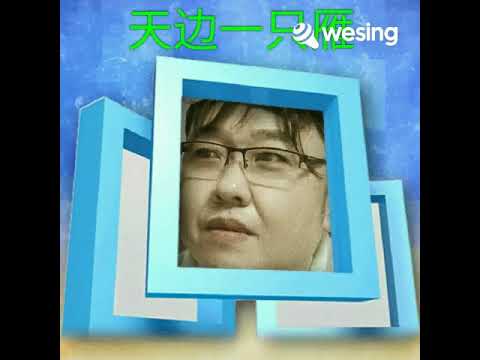 天边一只雁【幽灵太子】