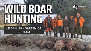 Wild Boar Hunting  Croatia  LD Srnjak  Garešnica