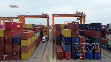 Hải Phòng nâng cao hiệu quả khai thác cảng biển| VTV4