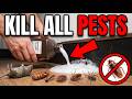 How To Utilize Hydrogen Peroxide To Kill Roaches, Ants, Bedbugs, Fleas & Mice (20 Different Pests)