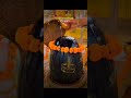 नमो नमो हे शंकरा।।। भोले नाथ शंकरा।।।#shorts #shortvideo #shiv