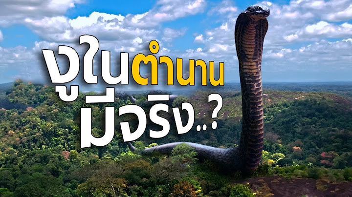 สัตว์ในตำนาน..ที่ค้นพบว่ามีอยู่จริง (งูยักษ์)