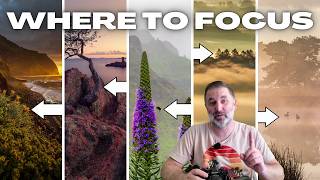 Stop Guessing! Where to Focus in Your Nature Photography