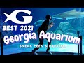 Georgia Aquarium Best Sneak Peek 2021 Travel