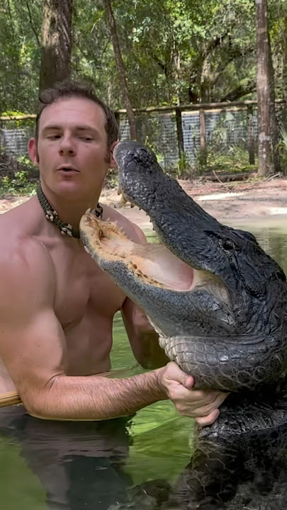 Gator kisses #alligator #gator #wildlife