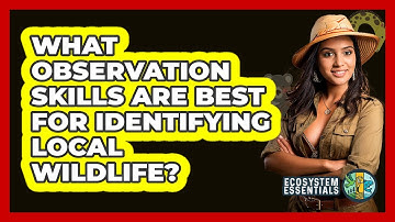 What Observation Skills Are Best For Identifying Local Wildlife? - Ecosystem Essentials