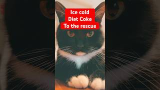 Tuxedo Cat Beats The Heat In The Smartest Way