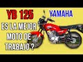 yamaha yb 125  review  la mejor moto de trabajo