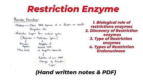Restriction enzymes | Restriction endonucleases | CSIR net life science| Restriction enzymes class12