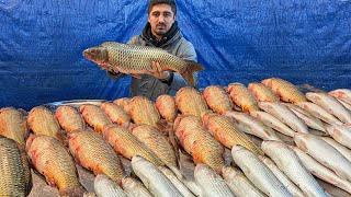 CARP FISH KEBAB | Butchering and Cooking | Azerbaijani Seafood