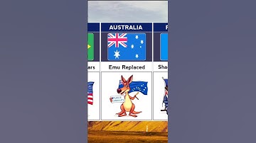 Hidden Flags in Different Flags #shorts #shortvideo #ytshorts