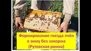 видео: Формирование гнезда пчёл для зимовки на рутовской рамке (без закорма). картинка: Формирование гнезда пчёл для зимовки на рутовской рамке (без закорма).