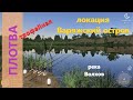 Русская рыбалка 4 - река Волхов - Плотва трофейная у коряг