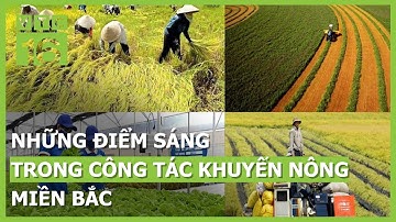 Những điểm sáng trong công tác khuyến nông miền Bắc | VTC16