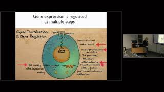 Regulating Gene Expression During Long-Lasting Synaptic Plasticity and Memory