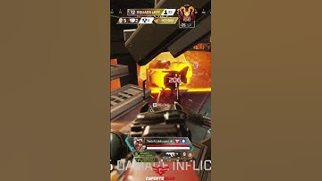 #1 MIRAGE SHOWS TRIGGER DISCIPLINE