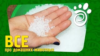 Пластиковые Миски. Все О Домашних Животных Пластиковые Миски. Все О Домашних Животных