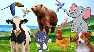 Cute animals around us - Dairy Cow, Dog, Bear, Elephant, Cat, Chicken, Parrot ... - Animal sounds