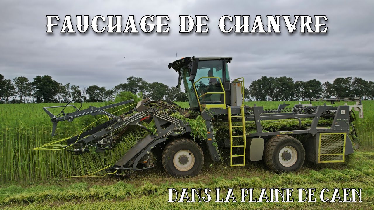 FAUCHAGE DE CHANVRE EN PLAINE DE CAEN | HYLER SATIVA FL20