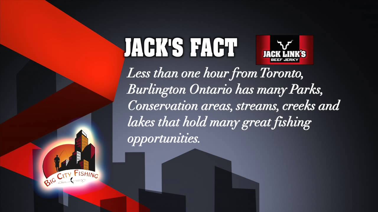 BCF e6 Bronte Creek   Trout 03