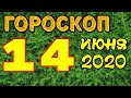 Гороскоп на завтра 14 июня 2020 для всех знаков зодиака