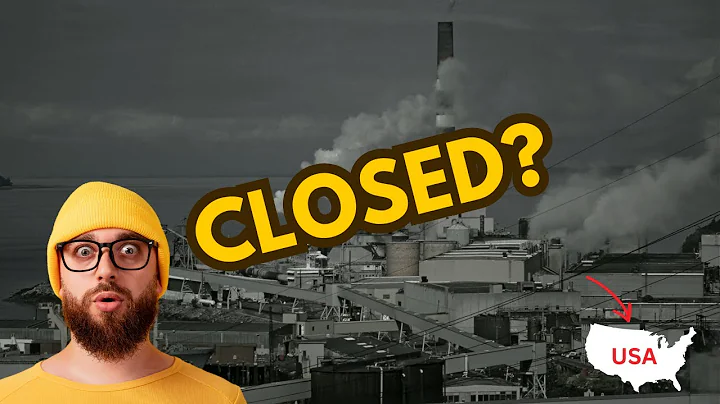 Forestry companies are leaving Canada - what's really behind the mill closures?  |  Dr. Rachel Holt