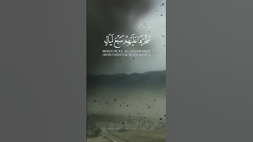 #اكسبلور #المصحف #لايك #peace_of_mind #سورة #الحاقة