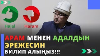 Арам менен адалдын эрежесин билип алыңыз!!! | Күн сайын угуп туруңуз | молдо Тариэл Абжалбеков