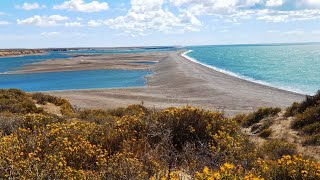 Celebrity Eclipse Antarctica Cruise day 12: Valdés Peninsula, Argentina