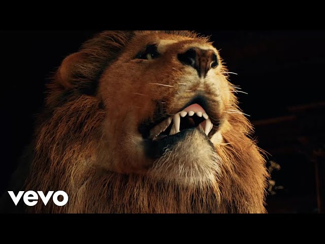 T.I. - Put Some On It