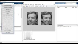 Face recognition matlab final year project