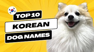 Top 10 Dog Names in Korea  for Female and Male Dogs!