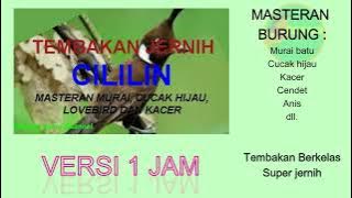 CILILIN SUARA JERNIH MASTERAN CILILIN 1 JAM