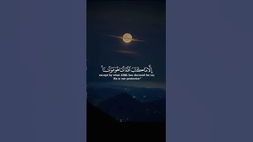 تلاوة خاشعة تبعث الطمأنينة في القلب 💫 | تلاوة مؤثرة تهزّ المشاعر 🌿