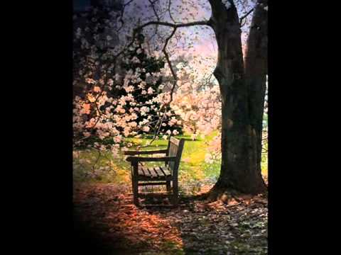 مآهـر مشـعل هـوى النفس