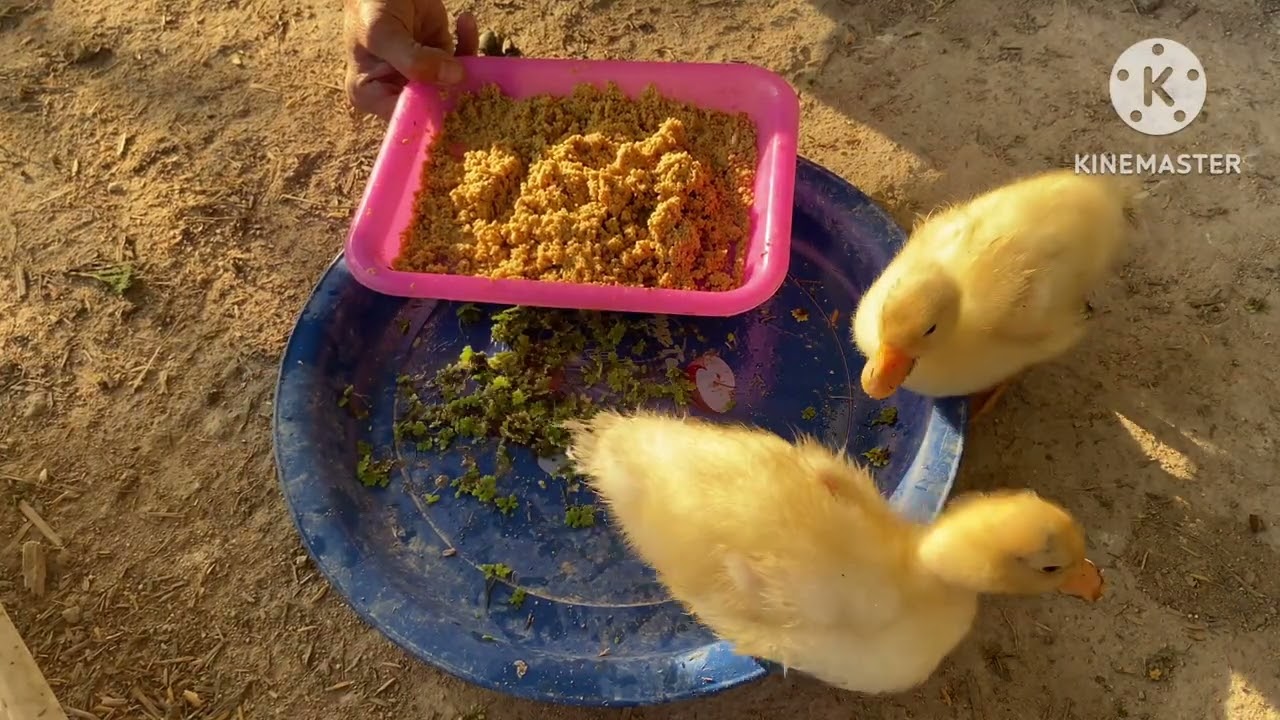 16 กุมภาพันธ์ 2569